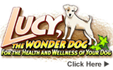 Lucy The Wonder Dog